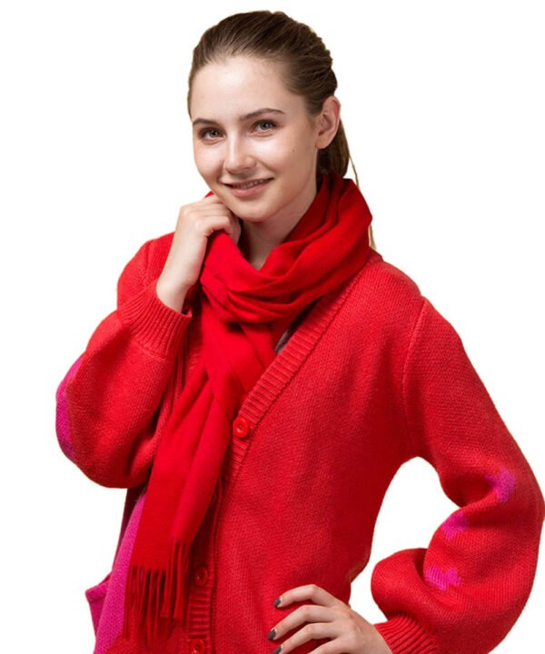 Mitchell-Y Cashmere Scarves - Image 21